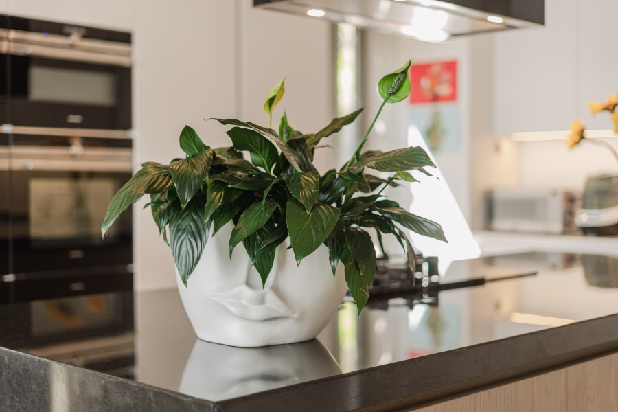4 Bedroom Property for Sale in Fresnaye Western Cape